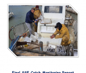 Final SSF Catch Monitoring Report